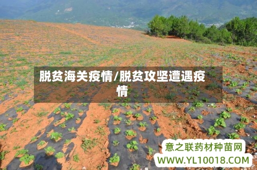 脱贫海关疫情/脱贫攻坚遭遇疫情-第2张图片