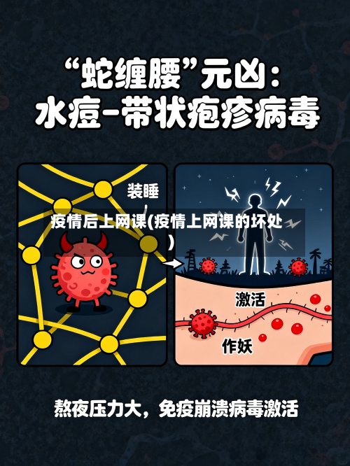 疫情后上网课(疫情上网课的坏处)-第3张图片