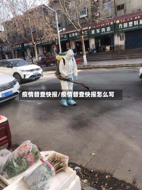 疫情督查快报/疫情督查快报怎么写-第2张图片