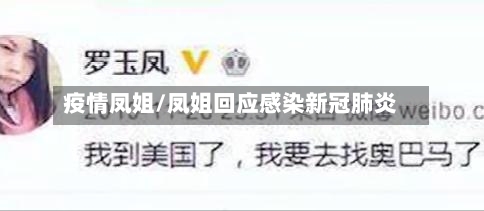疫情凤姐/凤姐回应感染新冠肺炎
