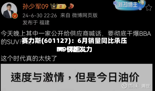 赛力斯(601127)：6月销量同比承压 M〖陆〗	、M9快速发力-第3张图片