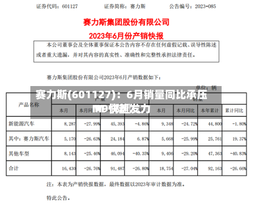 赛力斯(601127)：6月销量同比承压 M〖陆〗、M9快速发力-第2张图片