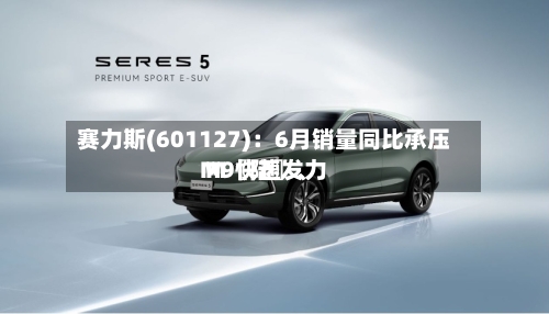 赛力斯(601127)：6月销量同比承压 M〖陆〗	、M9快速发力-第3张图片