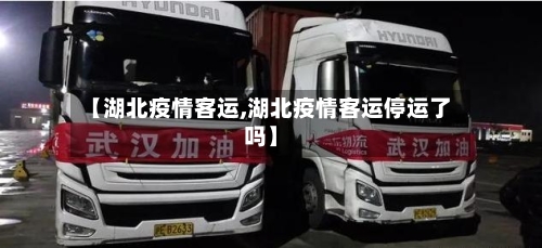 【湖北疫情客运,湖北疫情客运停运了吗】-第3张图片