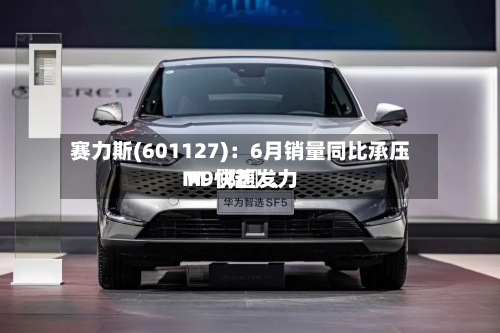 赛力斯(601127)：6月销量同比承压 M〖陆〗、M9快速发力