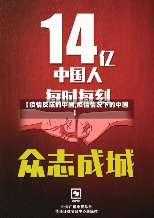 【疫情反应的中国,疫情情况下的中国】