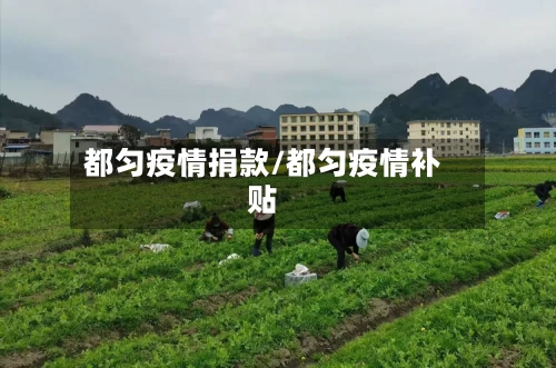 都匀疫情捐款/都匀疫情补贴