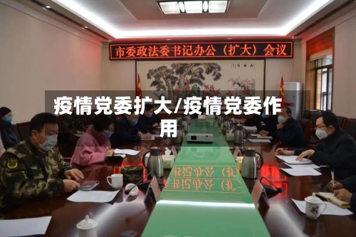 疫情党委扩大/疫情党委作用-第3张图片