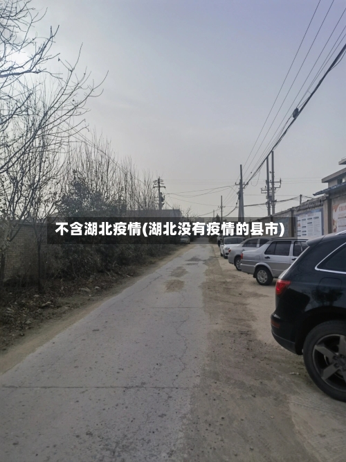 不含湖北疫情(湖北没有疫情的县市)-第2张图片