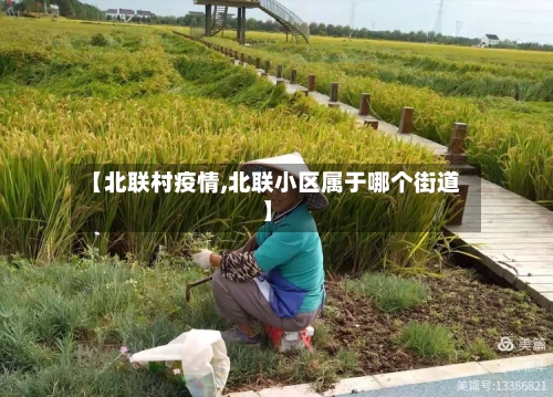 【北联村疫情,北联小区属于哪个街道】