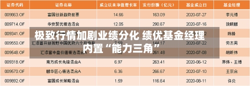 极致行情加剧业绩分化 绩优基金经理内置“能力三角	”-第3张图片