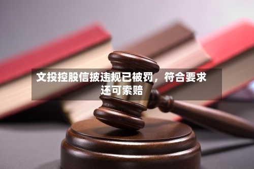 文投控股信披违规已被罚	，符合要求还可索赔-第2张图片