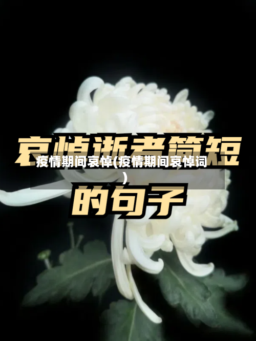 疫情期间哀悼(疫情期间哀悼词)