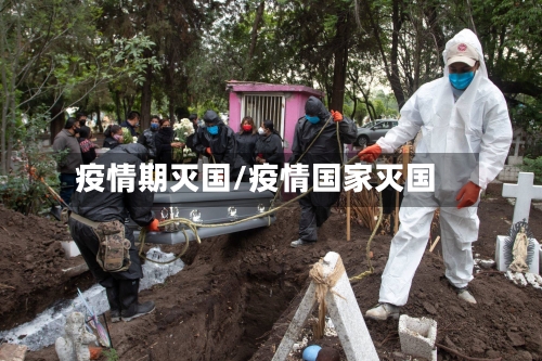 疫情期灭国/疫情国家灭国