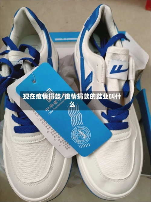 现在疫情捐款/疫情捐款的鞋业叫什么-第3张图片
