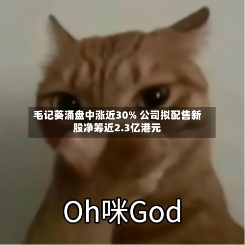 毛记葵涌盘中涨近30% 公司拟配售新股净筹近2.3亿港元-第2张图片