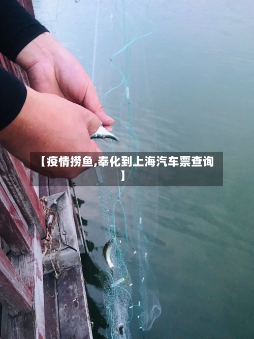 【疫情捞鱼,奉化到上海汽车票查询】