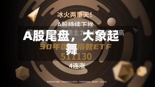 A股尾盘，大象起舞-第3张图片