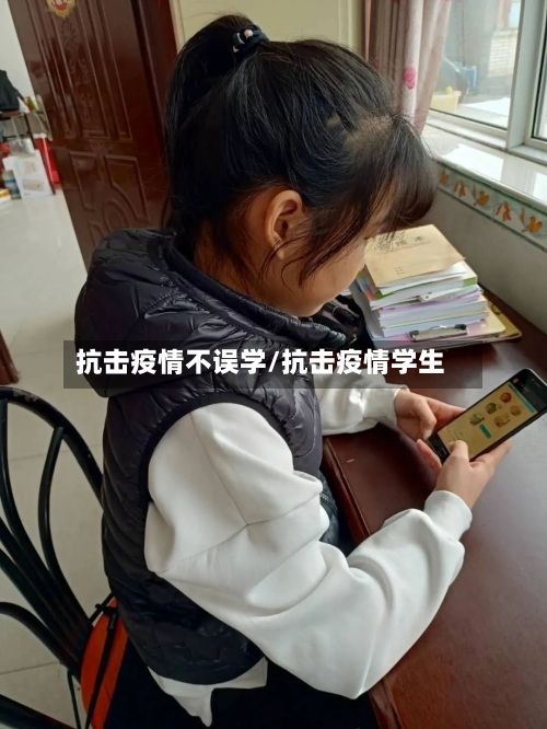 抗击疫情不误学/抗击疫情学生