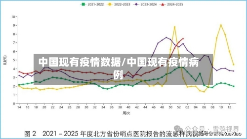 中国现有疫情数据/中国现有疫情病例
