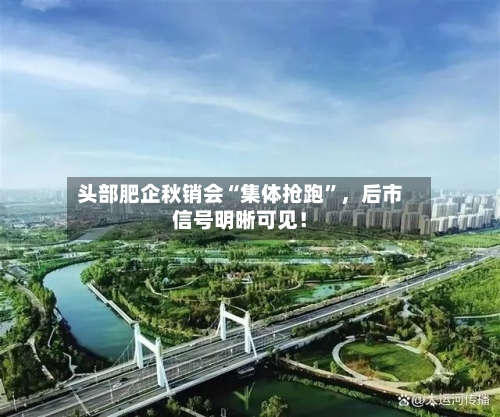 头部肥企秋销会“集体抢跑”	，后市信号明晰可见！-第3张图片