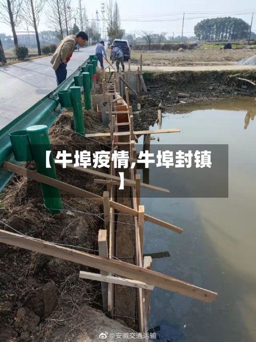 【牛埠疫情,牛埠封镇】