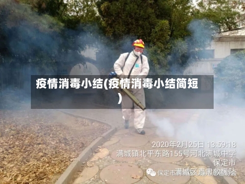 疫情消毒小结(疫情消毒小结简短)-第2张图片