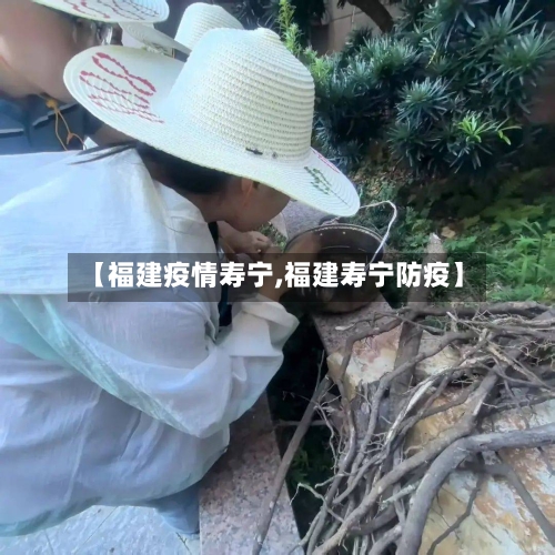 【福建疫情寿宁,福建寿宁防疫】-第2张图片