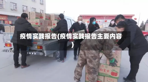 疫情实践报告(疫情实践报告主要内容)-第2张图片
