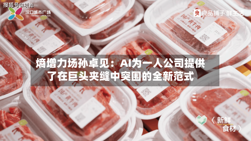 熵增力场孙卓见:AI为一人公司提供了在巨头夹缝中突围的全新范式-第3张图片