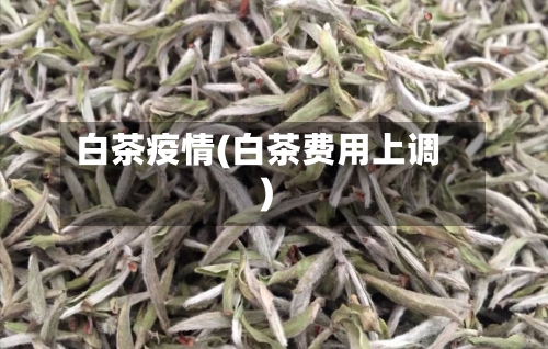 白茶疫情(白茶费用上调)-第3张图片