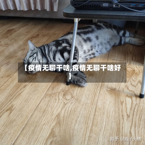 【疫情无聊干啥,疫情无聊干啥好】-第2张图片