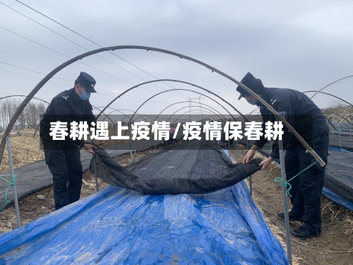 春耕遇上疫情/疫情保春耕