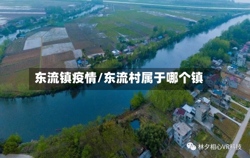 东流镇疫情/东流村属于哪个镇