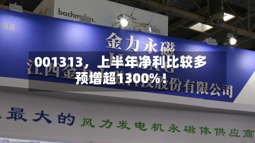 001313	，上半年净利比较多预增超1300%！-第2张图片