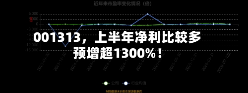 001313，上半年净利比较多预增超1300%！