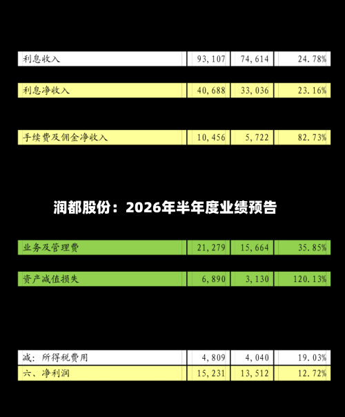润都股份：2026年半年度业绩预告-第2张图片