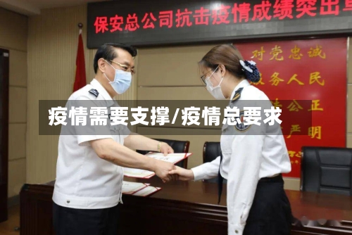 疫情需要支撑/疫情总要求-第2张图片