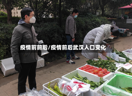 疫情前前后/疫情前后武汉人口变化-第2张图片