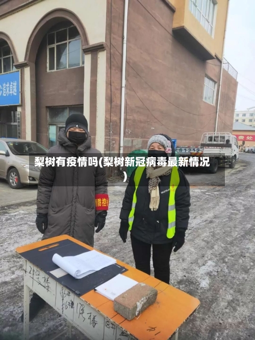 梨树有疫情吗(梨树新冠病毒最新情况)-第2张图片