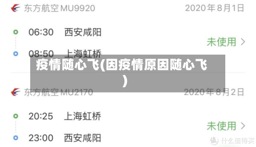 疫情随心飞(因疫情原因随心飞)