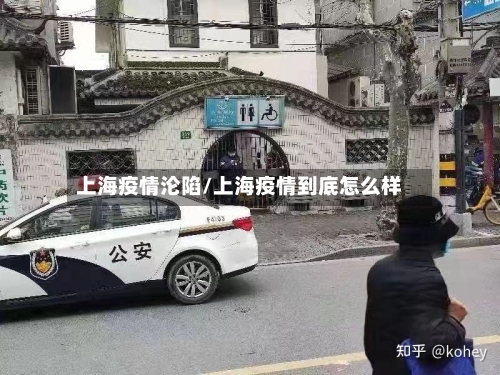 上海疫情沦陷/上海疫情到底怎么样