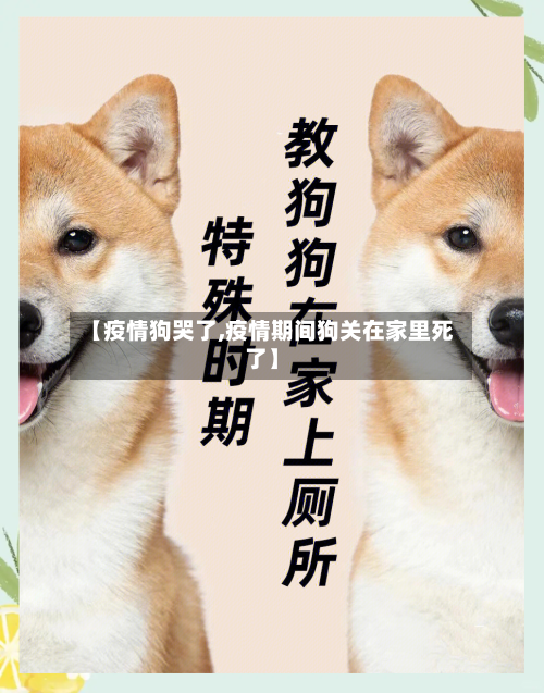 【疫情狗哭了,疫情期间狗关在家里死了】-第3张图片