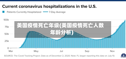 美国疫情死亡年级(美国疫情死亡人数年龄分析)-第3张图片