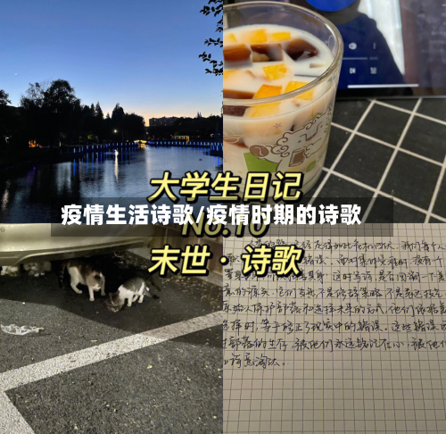 疫情生活诗歌/疫情时期的诗歌-第3张图片