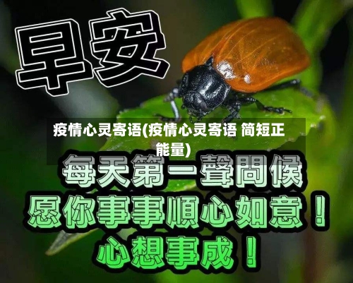 疫情心灵寄语(疫情心灵寄语 简短正能量)