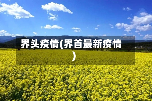 界头疫情(界首最新疫情)