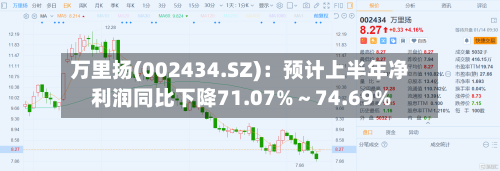 万里扬(002434.SZ)：预计上半年净利润同比下降71.07%～74.69%-第2张图片