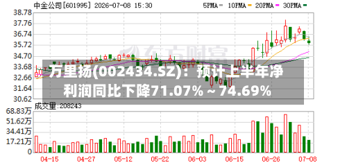万里扬(002434.SZ)：预计上半年净利润同比下降71.07%～74.69%-第3张图片