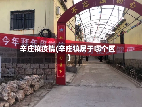 辛庄镇疫情(辛庄镇属于哪个区)